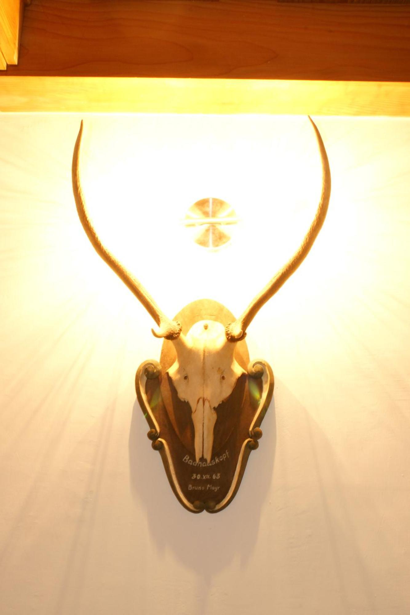 Appartement Schmiedhof เซลล์อัมเซ ภายนอก รูปภาพ
